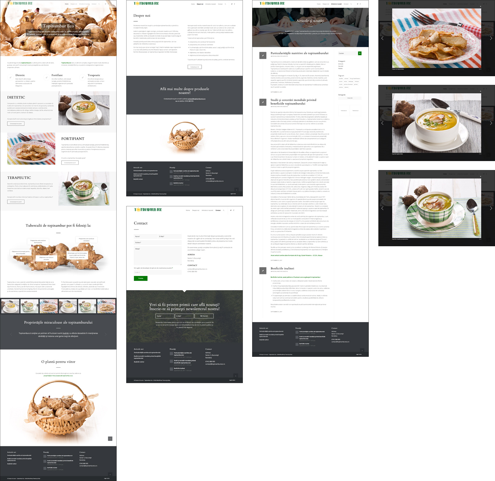 Topinambur Eco - web site