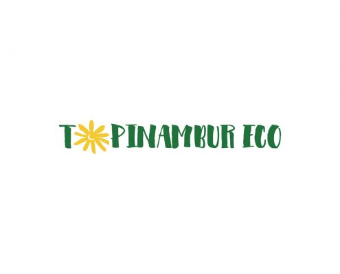 Topinambur Eco - logo